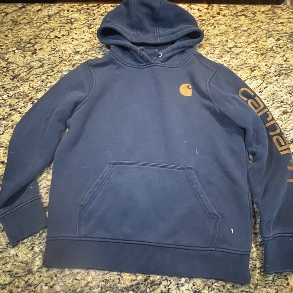 Carhartt Mens Relaxed Fit Graphic Sleeve Logo Hoodie Navy Blue Size Medium M